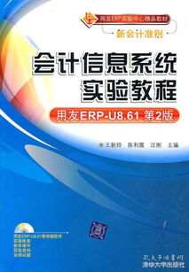 会计咨询在孔网分类中的价值与展望